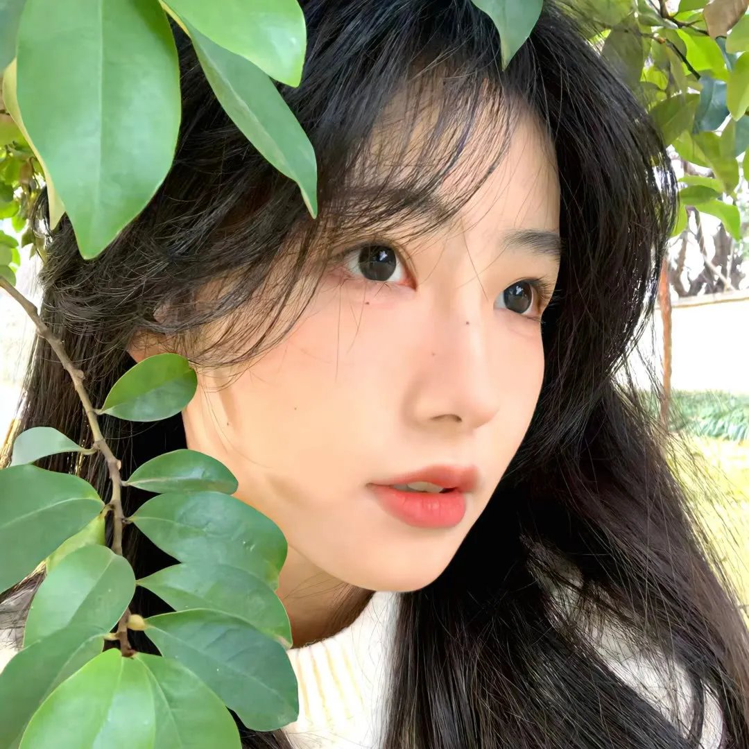 算死草粤语